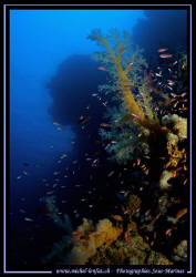 Red Sea Atmospher.... Que du bonheur... :O)... by Michel Lonfat 